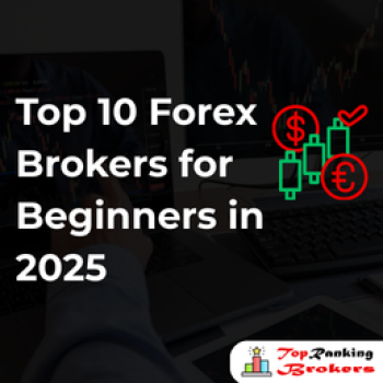 Top 10 Forex Brokers for Beginners in 2025