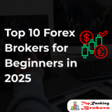 Top 10 Forex Brokers for Beginners in 2025
